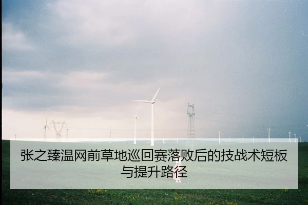 张之臻温网前草地巡回赛落败后的技战术短板与提升路径